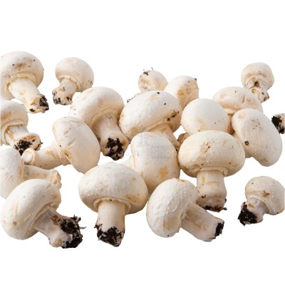 Шампиньоны свежие 500 г - купить в Загедане